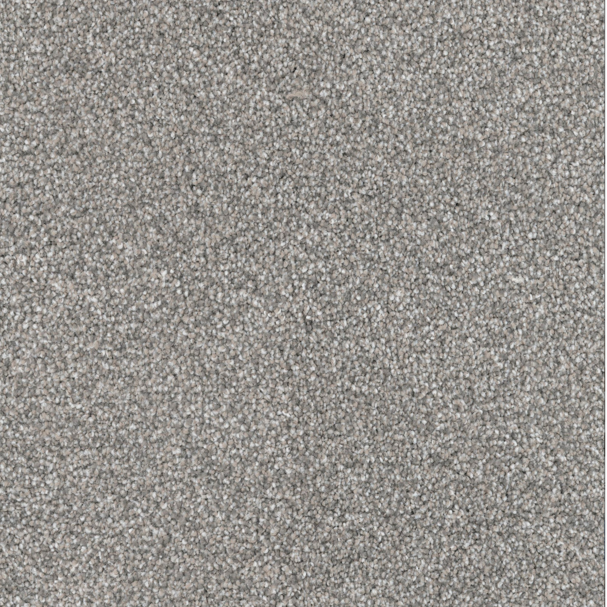 Dove Gray carpet flooring sample